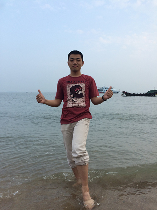 Ding Lei